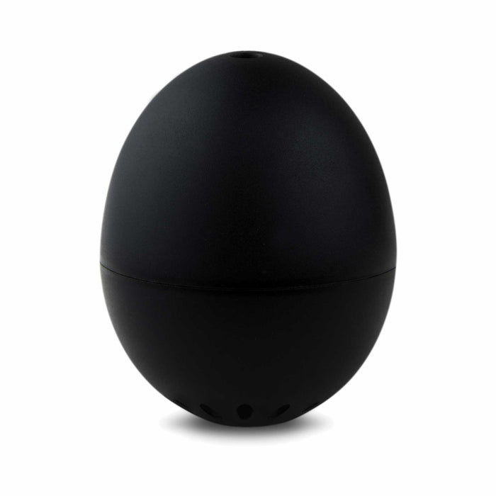 BRAINSTREAM - PiepEi - Rock