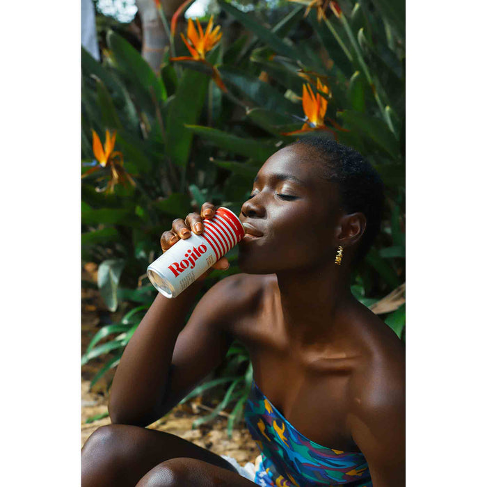 ROJITO Tinto De Verano Wein-Mischgetränk mit Zitronenlimonade