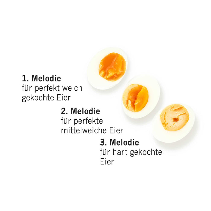 BRAINSTREAM - PiepEi - Ahoi