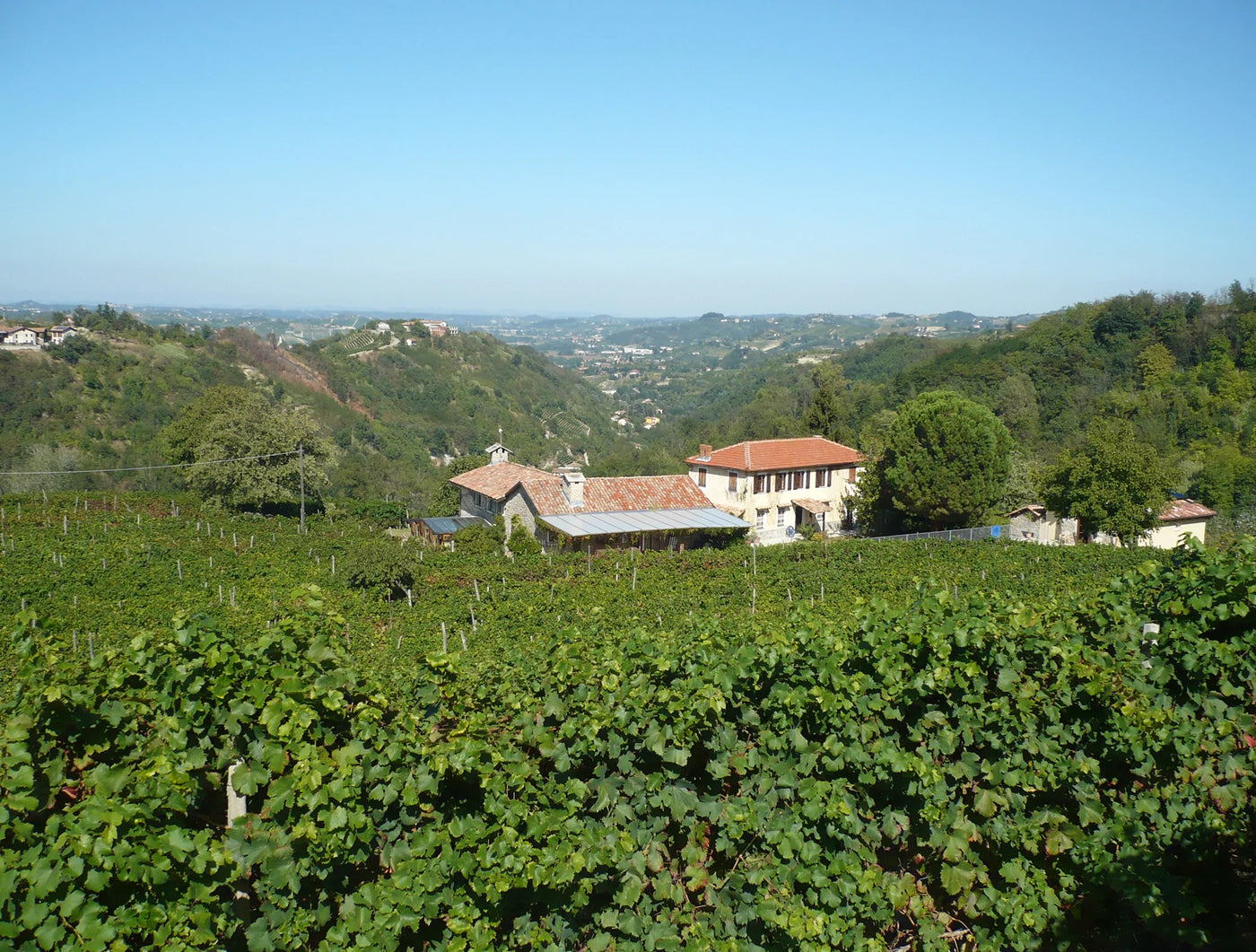 Rio Del Lupo Weinanbaugebiet im Piemont, Norditalien